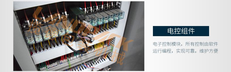 電控組件 電控組件